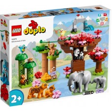  LEGO® DUPLO® Laukiniai Azijos gyvūnai 10974